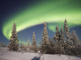 auroraborealisoverborealforestalaska.jpg